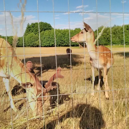 Dom wakacyjny Haus Der 16 Seen *