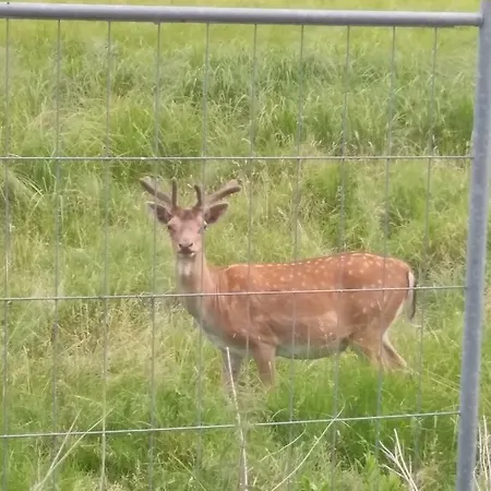 Haus Der 16 Seen Dom wakacyjny Krakow am See