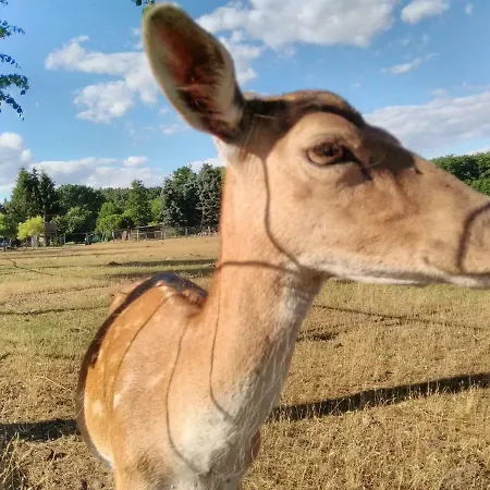 Haus Der 16 Seen Hébergement de vacances Krakow am See