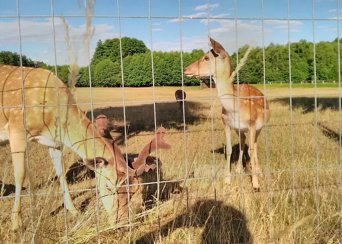 別荘 Haus Der 16 Seen *