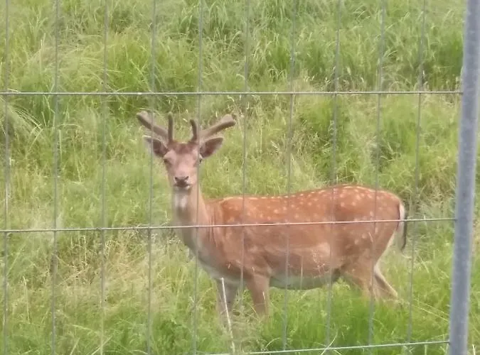Haus Der 16 Seen 別荘 クラーコー・アム・ゼー
